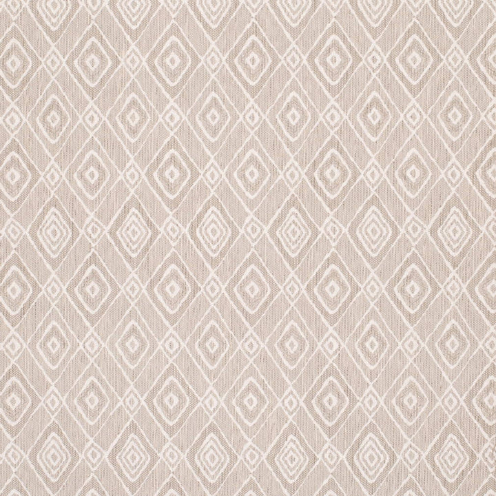 D4339 Cloud by Charlotte Fabric Vibrant Wovens II 100% Solution Dyed Polyester, Waterproof Backing Asia Exceeds 100,000 Wyzenbeek Rubs (Heavy Duty) Horizontal 6.5" x Vertical 9.5" 54 Inches - Fabric Carolina -