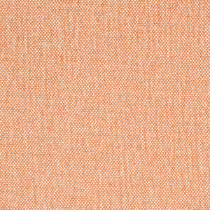 D4456 Peach by Charlotte Fabric