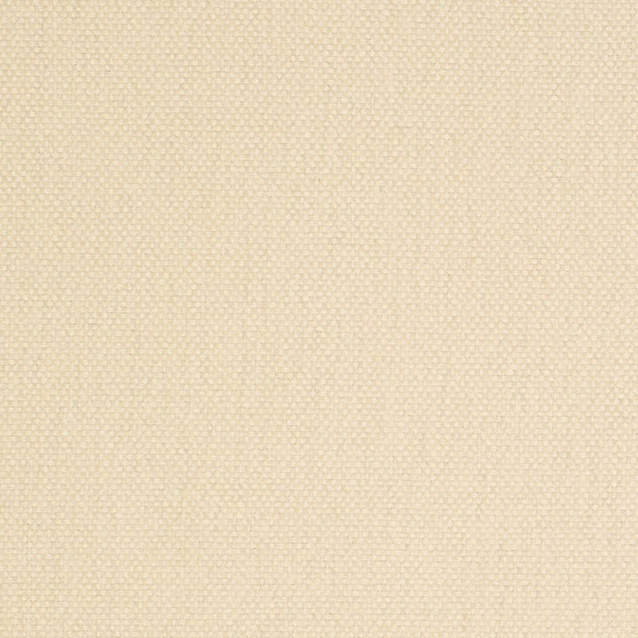 D4457 Pearl by Charlotte Designer Fabric Eco Textures 57% Olefin, 43% Polyester USA </p><p>Repeat: No Repeat 54 Inches - Swanky Fabrics -