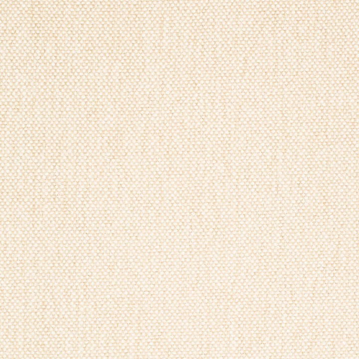 D4459 Linen by Charlotte Fabric Eco Textures 57% Olefin, 43% Polyester USA </p><p>Repeat: No Repeat 54 Inches - Fabric Carolina -