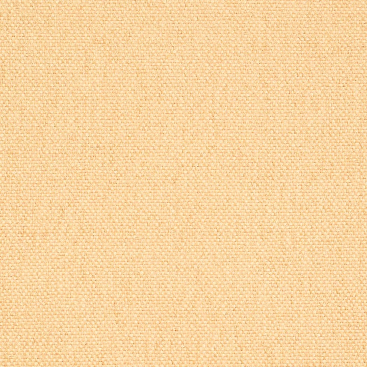 D4461 Khaki by Charlotte Fabric Eco Textures 57% Olefin, 43% Polyester USA </p><p>Repeat: No Repeat 54 Inches - Fabric Carolina -