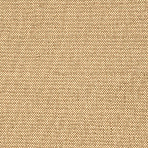 D4464 Latte by Charlotte Fabric