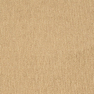 D4464 Latte by Charlotte Fabric