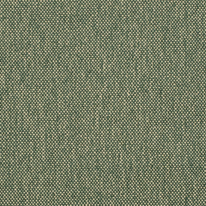 D4475 Hunter by Charlotte Fabric Eco Textures 57% Olefin, 43% Polyester USA </p><p>Repeat: No Repeat 54 Inches - Fabric Carolina -