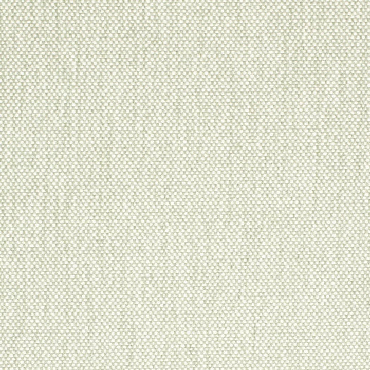 D4476 Celadon by Charlotte Fabric Eco Textures 57% Olefin, 43% Polyester USA </p><p>Repeat: No Repeat 54 Inches - Fabric Carolina -