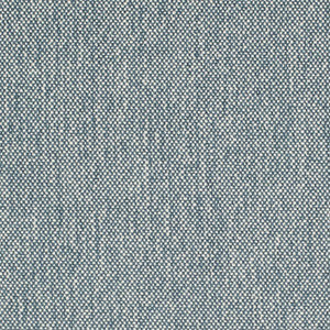 D4483 Denim by Charlotte Fabric