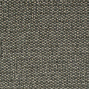 D4488 Zinc by Charlotte Fabric