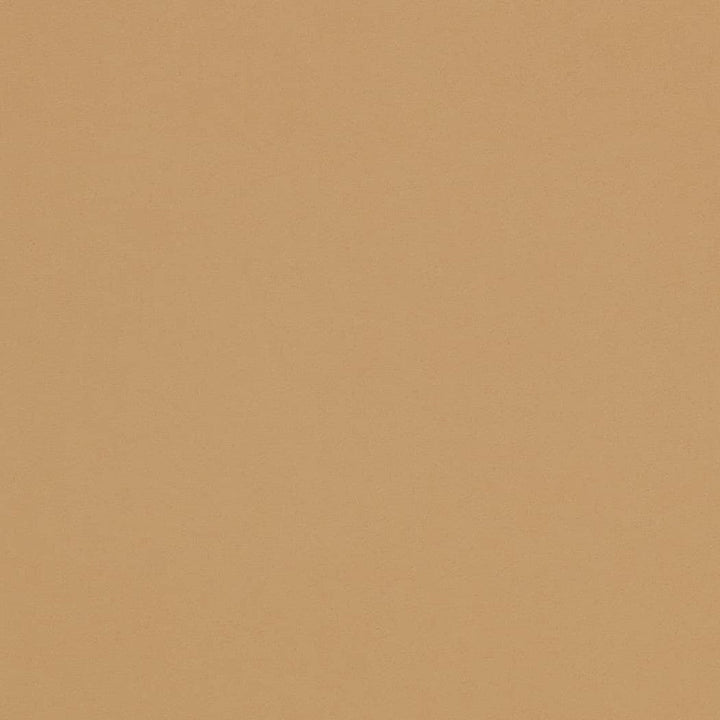D4497 Tan by Charlotte Designer Fabric Sueded Velvet 100% Polyester, Fleece Backing Asia </p><p>Repeat: No Repeat 54 Inches - Swanky Fabrics -
