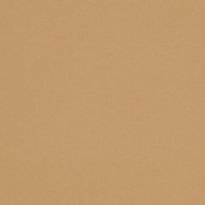 D4497 Tan by Charlotte Fabric Sueded Velvet 100% Polyester, Fleece Backing Asia </p><p>Repeat: No Repeat 54 Inches - Fabric Carolina -