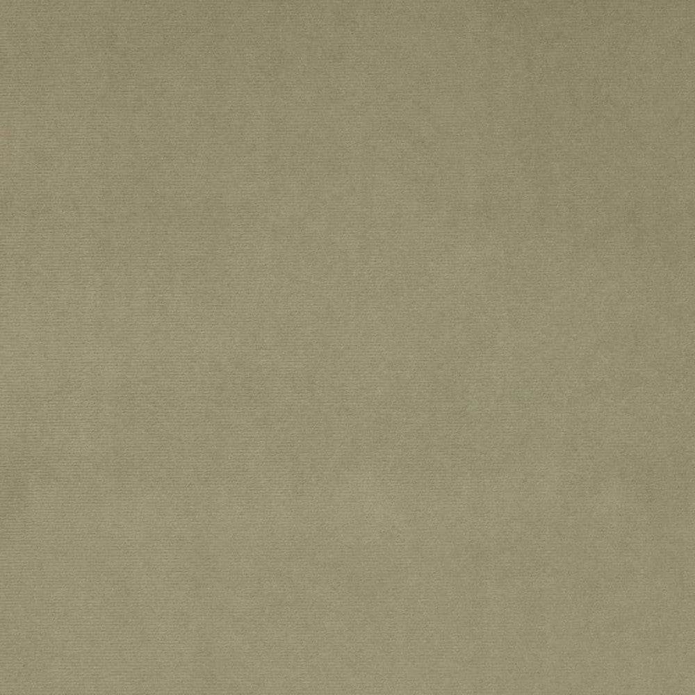 D4514 Sage by Charlotte Fabric Sueded Velvet 100% Polyester, Fleece Backing Asia </p><p>Repeat: No Repeat 54 Inches - Fabric Carolina -