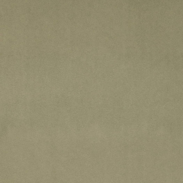 D4514 Sage by Charlotte Fabric Sueded Velvet 100% Polyester, Fleece Backing Asia </p><p>Repeat: No Repeat 54 Inches - Fabric Carolina -