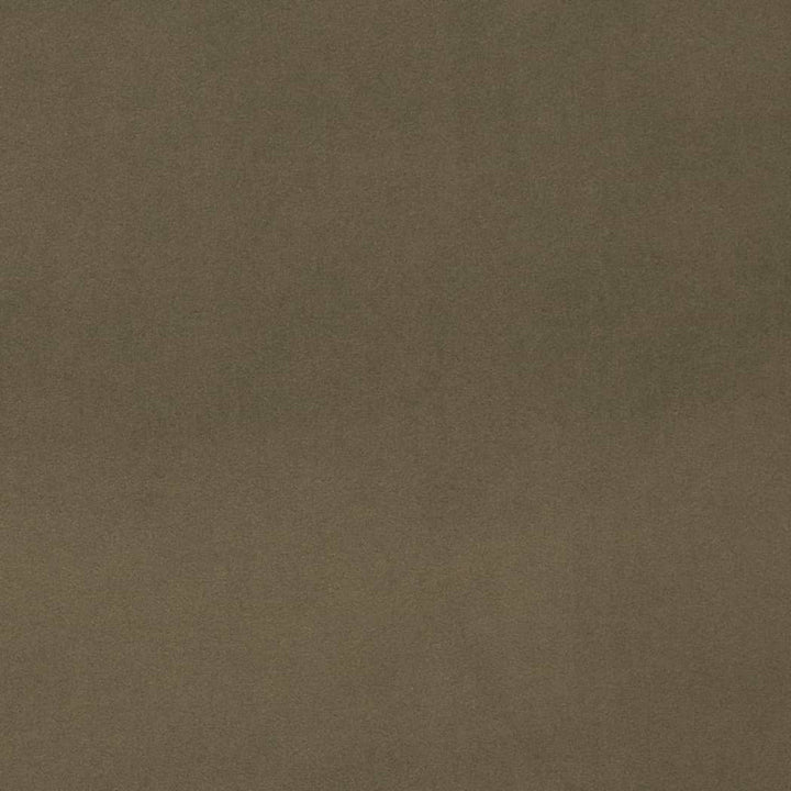 D4515 Eucalyptus by Charlotte Fabric Sueded Velvet 100% Polyester, Fleece Backing Asia </p><p>Repeat: No Repeat 54 Inches - Fabric Carolina -