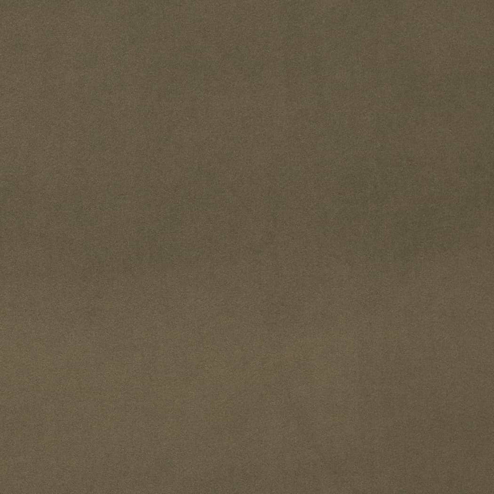 D4515 Eucalyptus by Charlotte Fabric Sueded Velvet 100% Polyester, Fleece Backing Asia </p><p>Repeat: No Repeat 54 Inches - Fabric Carolina -