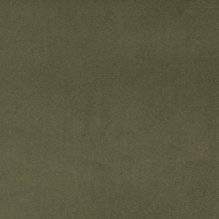D4516 Dill by Charlotte Fabric Sueded Velvet 100% Polyester, Fleece Backing Asia </p><p>Repeat: No Repeat 54 Inches - Fabric Carolina -