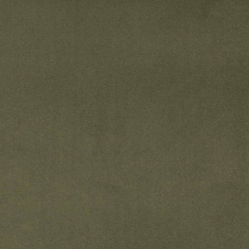 D4516 Dill by Charlotte Designer Fabric Sueded Velvet 100% Polyester, Fleece Backing Asia </p><p>Repeat: No Repeat 54 Inches - Swanky Fabrics -