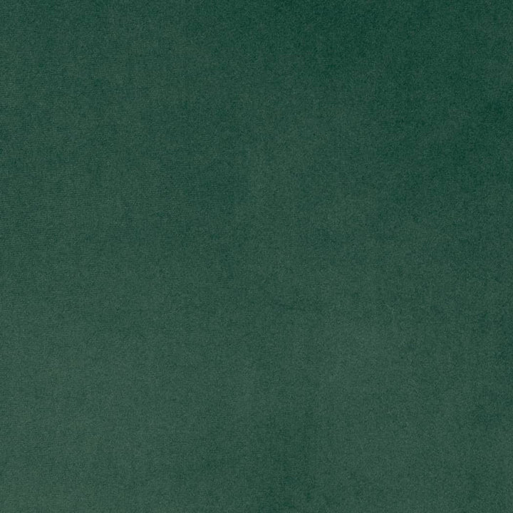 D4517 Pine by Charlotte Fabric Sueded Velvet 100% Polyester, Fleece Backing Asia </p><p>Repeat: No Repeat 54 Inches - Fabric Carolina -