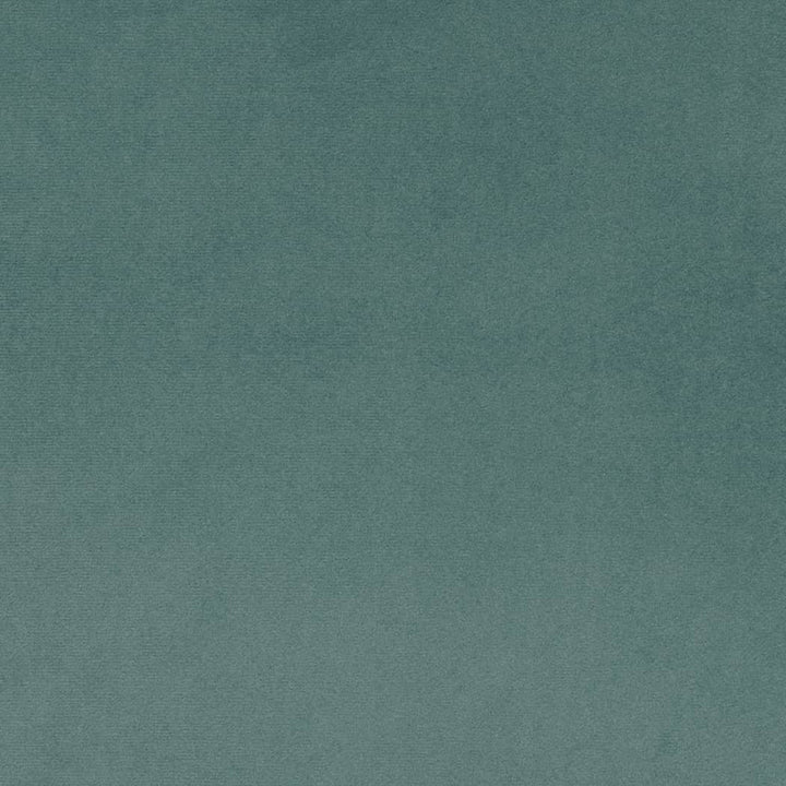 D4518 Lagoon by Charlotte Fabric Sueded Velvet 100% Polyester, Fleece Backing Asia </p><p>Repeat: No Repeat 54 Inches - Fabric Carolina -