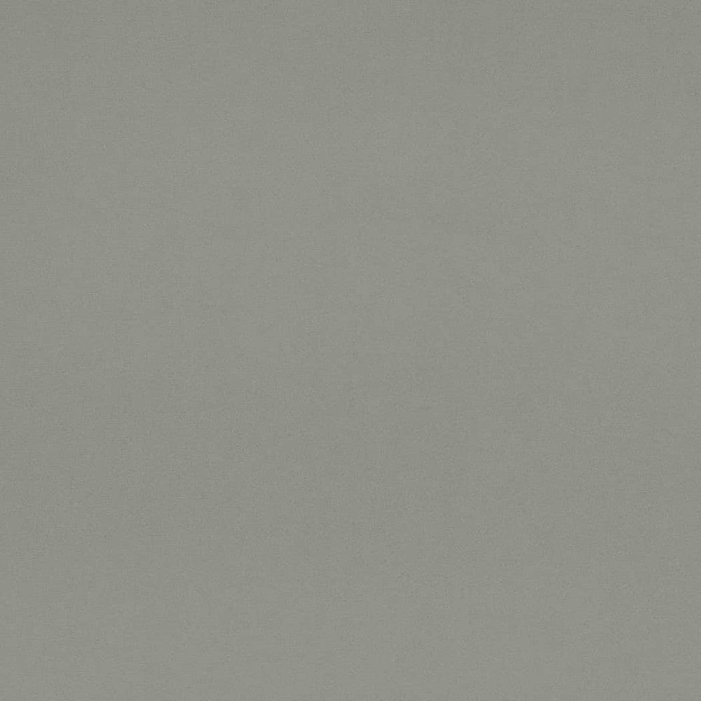 D4519 Chambray by Charlotte Fabric Sueded Velvet 100% Polyester, Fleece Backing Asia </p><p>Repeat: No Repeat 54 Inches - Fabric Carolina -
