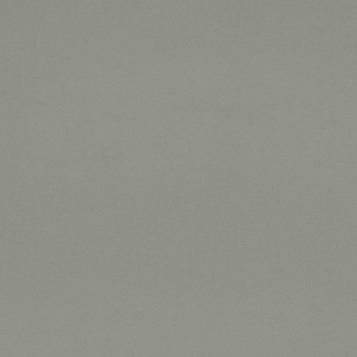 D4519 Chambray by Charlotte Fabric Sueded Velvet 100% Polyester, Fleece Backing Asia </p><p>Repeat: No Repeat 54 Inches - Fabric Carolina -