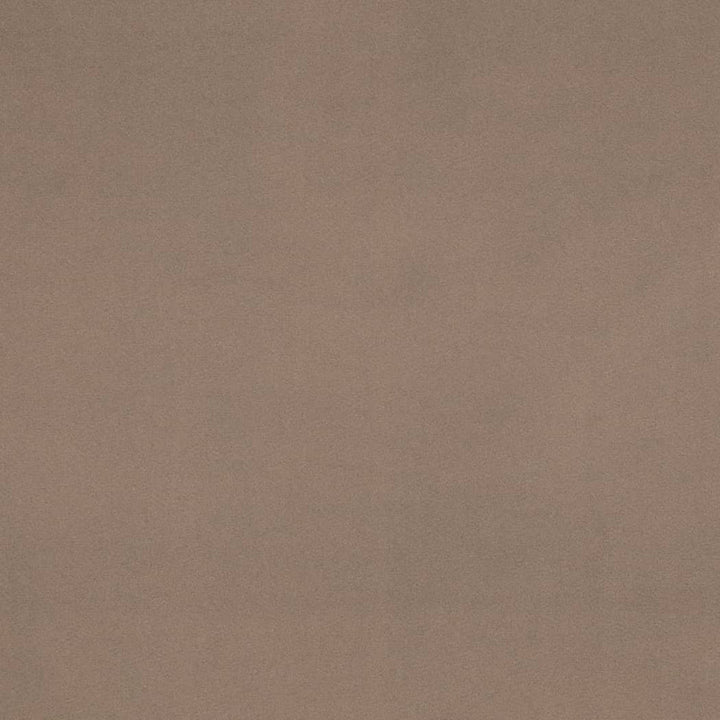 D4522 Pewter by Charlotte Fabric Sueded Velvet 100% Polyester, Fleece Backing Asia </p><p>Repeat: No Repeat 54 Inches - Fabric Carolina -