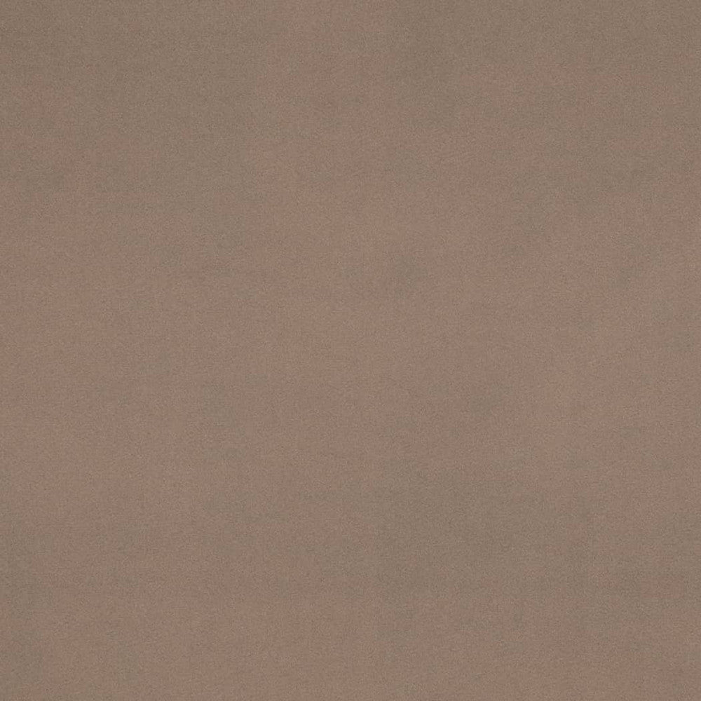 D4522 Pewter by Charlotte Fabric Sueded Velvet 100% Polyester, Fleece Backing Asia </p><p>Repeat: No Repeat 54 Inches - Fabric Carolina -
