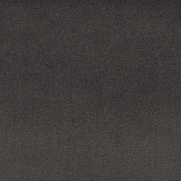 D4523 Charcoal by Charlotte Fabric Sueded Velvet 100% Polyester, Fleece Backing Asia </p><p>Repeat: No Repeat 54 Inches - Fabric Carolina -