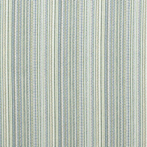D4534 Canopy Pool by Charlotte Fabric
