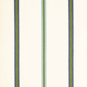 D4539 Awning Pool by Charlotte Fabric