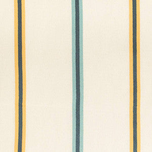 D4542 Awning Sun by Charlotte Fabric