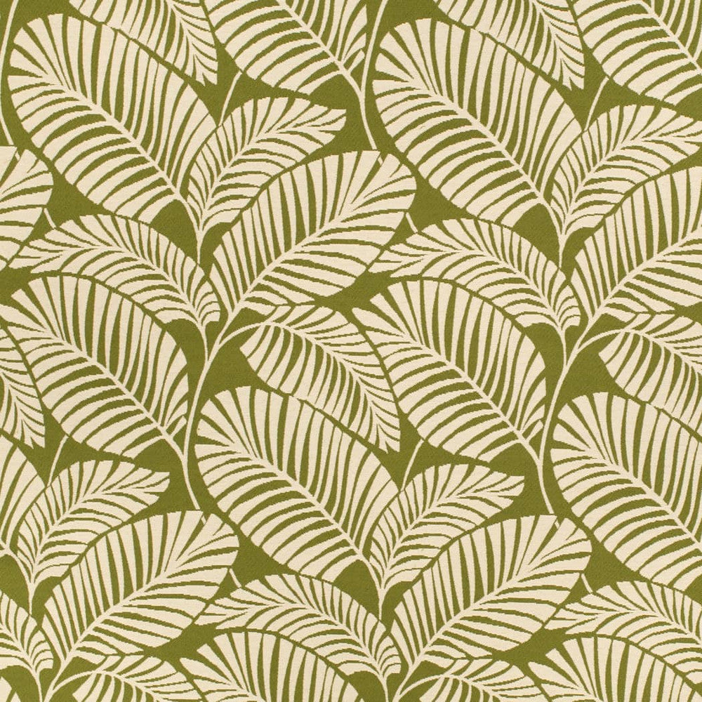 D4558 Palm Grass by Charlotte Fabric Veranda II 71% Polypropylene, 29% Polyester Mexico </p><p>Repeat: Horizontal 11.5" x Vertical 22" 54 Inches - Fabric Carolina -