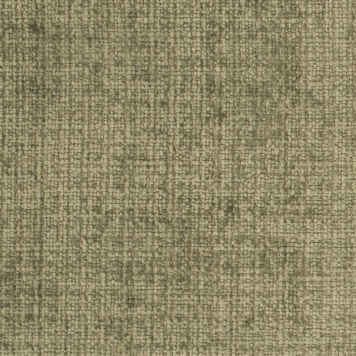 D4578 Lichen by Charlotte Fabric Crypton Posh II 100% Polyester Finished in USA </p><p>Repeat: No Repeat 54 Inches - Fabric Carolina -