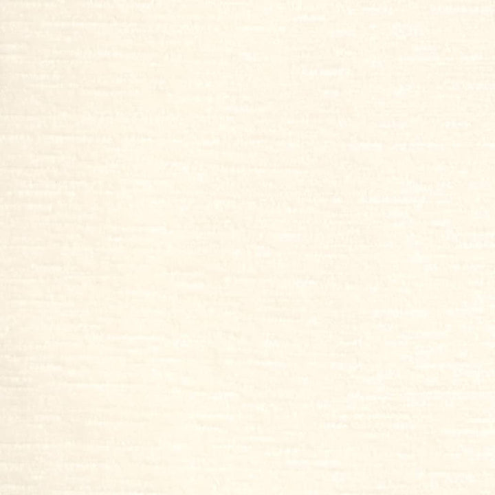 D4592 Snow by Charlotte Fabric Crypton Posh II 100% Polyester Finished in USA </p><p>Repeat: No Repeat 54 Inches - Fabric Carolina -