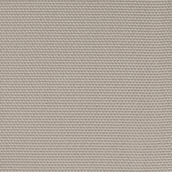 D4624 Platinum by Charlotte Fabric Contract Collective 100% Polyester USA Exceeds 100,000 Wyzenbeek Rubs (Heavy Duty) No Repeat 54 Inches - Fabric Carolina -