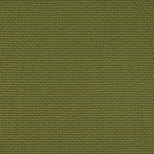 D4629 Lime by Charlotte Fabric