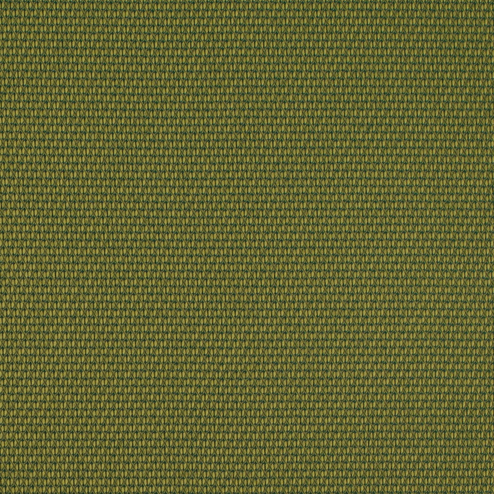 D4629 Lime by Charlotte Fabric Contract Collective 100% Polyester USA Exceeds 100,000 Wyzenbeek Rubs (Heavy Duty) No Repeat 54 Inches - Fabric Carolina -