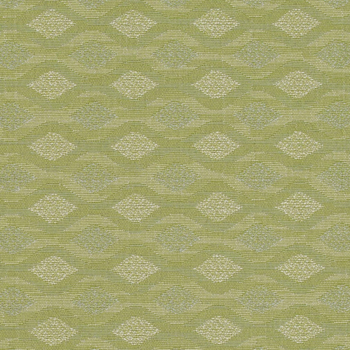 D4647 Sage by Charlotte Fabric Contract Collective 100% Polyester USA Exceeds 100,000 Wyzenbeek Rubs (Heavy Duty) Horizontal 2.5" x Vertical 2.5" 54 Inches - Fabric Carolina -