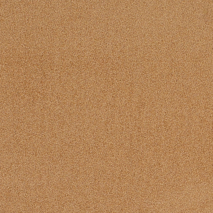D4657 Desert by Charlotte Designer Fabric Crypton Mid Century 100% Polyester Finished in USA Exceeds 200,000 Wyzenbeek Rubs (Heavy Duty) No Repeat 54 Inches - Swanky Fabrics -