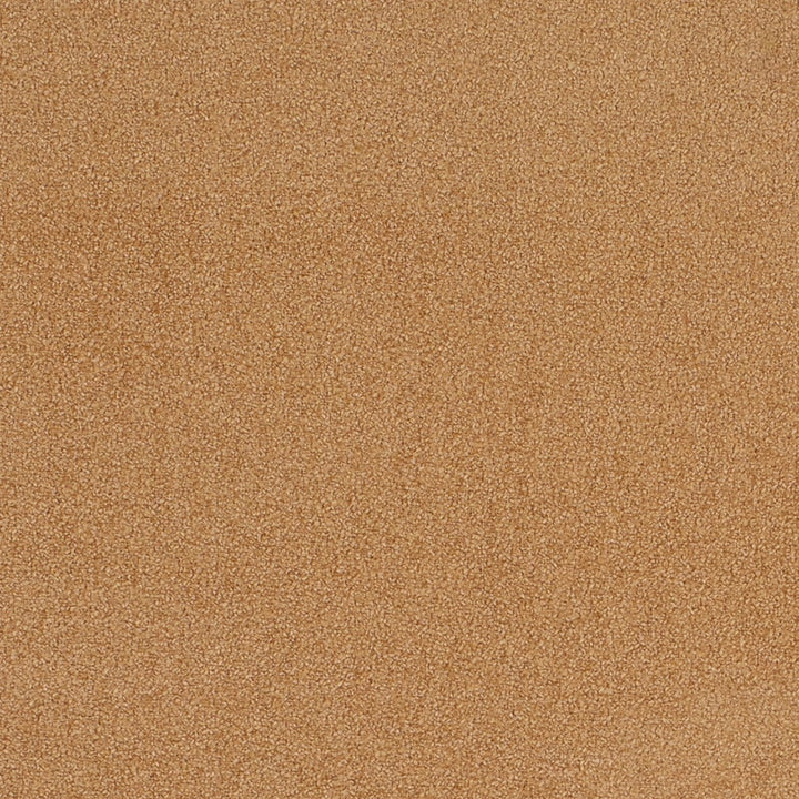 D4657 Desert by Charlotte Fabric Crypton Mid Century 100% Polyester Finished in USA Exceeds 200,000 Wyzenbeek Rubs (Heavy Duty) No Repeat 54 Inches - Fabric Carolina -