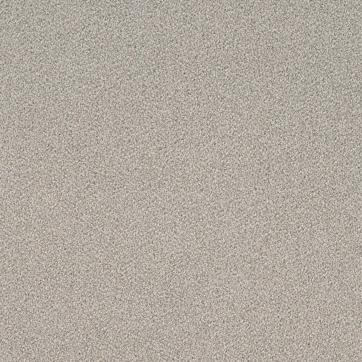 D4658 Sterling by Charlotte Fabric Crypton Mid Century 100% Polyester Finished in USA Exceeds 200,000 Wyzenbeek Rubs (Heavy Duty) No Repeat 54 Inches - Fabric Carolina -
