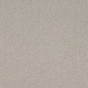 D4658 Sterling by Charlotte Fabric