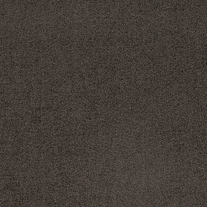 D4659 Ash by Charlotte Fabric Crypton Mid Century 100% Polyester Finished in USA Exceeds 200,000 Wyzenbeek Rubs (Heavy Duty) No Repeat 54 Inches - Fabric Carolina -