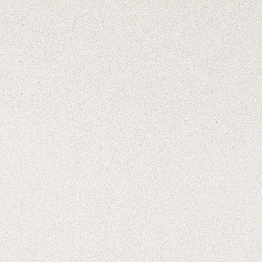 D4661 Cotton by Charlotte Fabric Crypton Mid Century 100% Polyester Finished in USA Exceeds 200,000 Wyzenbeek Rubs (Heavy Duty) No Repeat 54 Inches - Fabric Carolina -