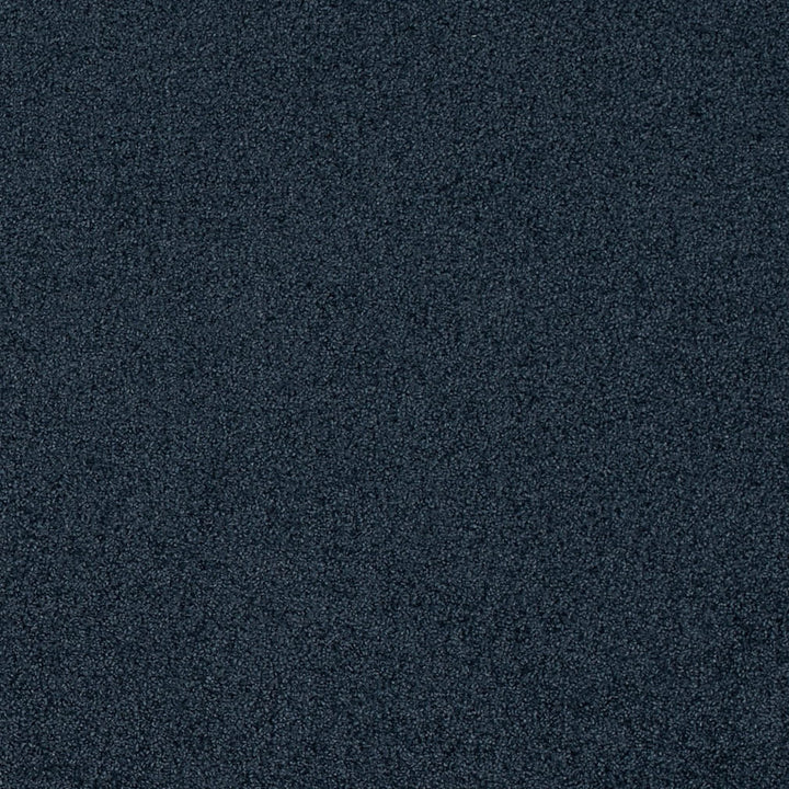 D4663 Blueberry by Charlotte Fabric Crypton Mid Century 100% Polyester Finished in USA Exceeds 200,000 Wyzenbeek Rubs (Heavy Duty) No Repeat 54 Inches - Fabric Carolina -