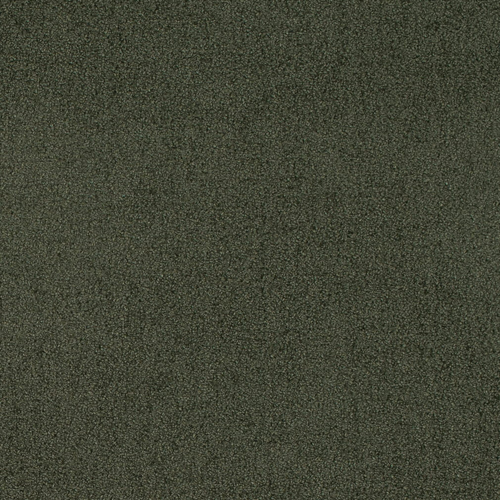 D4665 Eucalyptus by Charlotte Fabric Crypton Mid Century 100% Polyester Finished in USA Exceeds 200,000 Wyzenbeek Rubs (Heavy Duty) No Repeat 54 Inches - Fabric Carolina -