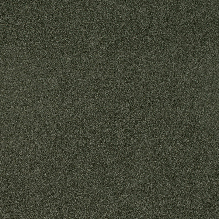 D4665 Eucalyptus by Charlotte Fabric Crypton Mid Century 100% Polyester Finished in USA Exceeds 200,000 Wyzenbeek Rubs (Heavy Duty) No Repeat 54 Inches - Fabric Carolina -