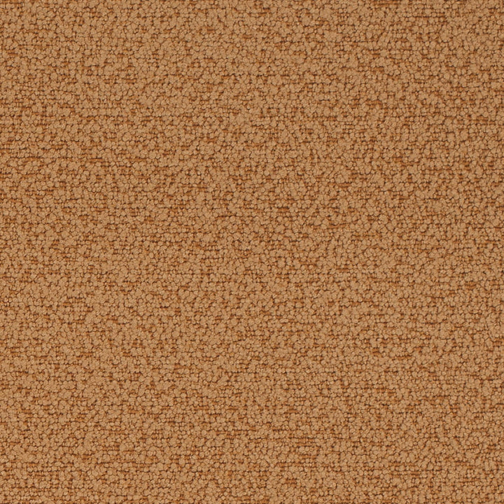 D4679 Tawny by Charlotte Designer Fabric Crypton Mid Century 100% Polyester Finished in USA Exceeds 200,000 Wyzenbeek Rubs (Heavy Duty) No Repeat 54 Inches - Swanky Fabrics -