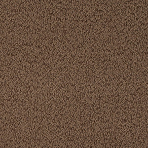 D4682 Cappuccino by Charlotte Fabric