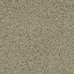 D4684 Sage by Charlotte Fabric
