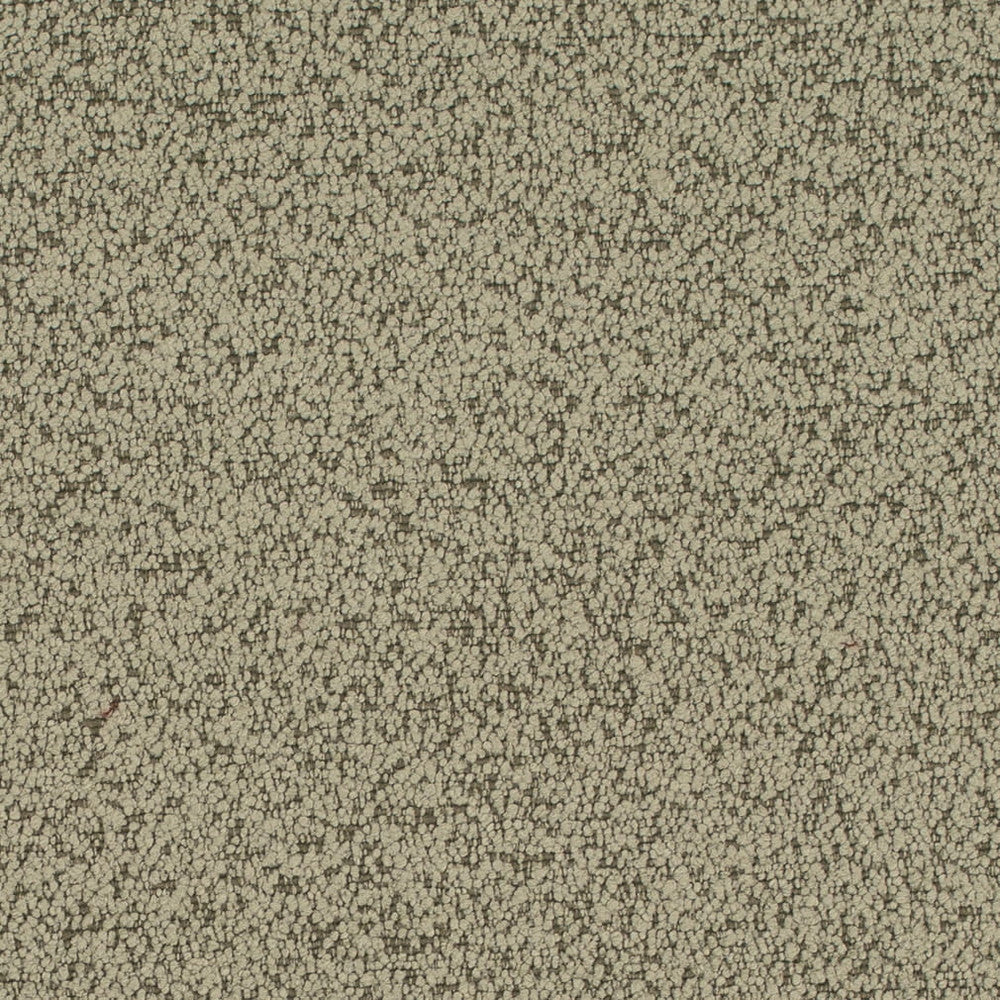 D4684 Sage by Charlotte Fabric Crypton Mid Century 100% Polyester Finished in USA Exceeds 200,000 Wyzenbeek Rubs (Heavy Duty) No Repeat 54 Inches - Fabric Carolina -