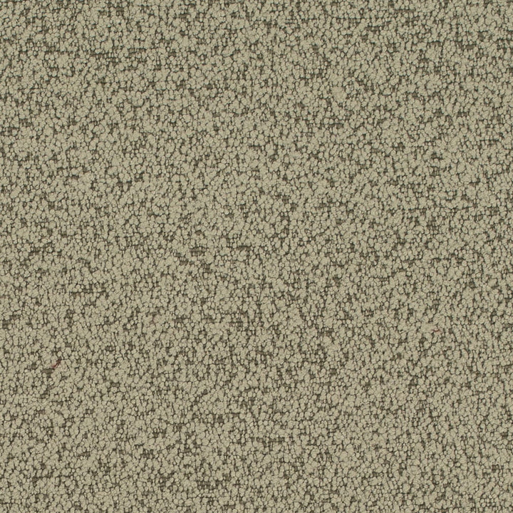 D4684 Sage by Charlotte Fabric Crypton Mid Century 100% Polyester Finished in USA Exceeds 200,000 Wyzenbeek Rubs (Heavy Duty) No Repeat 54 Inches - Fabric Carolina -